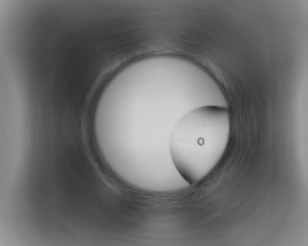 X0000113930736200910091601