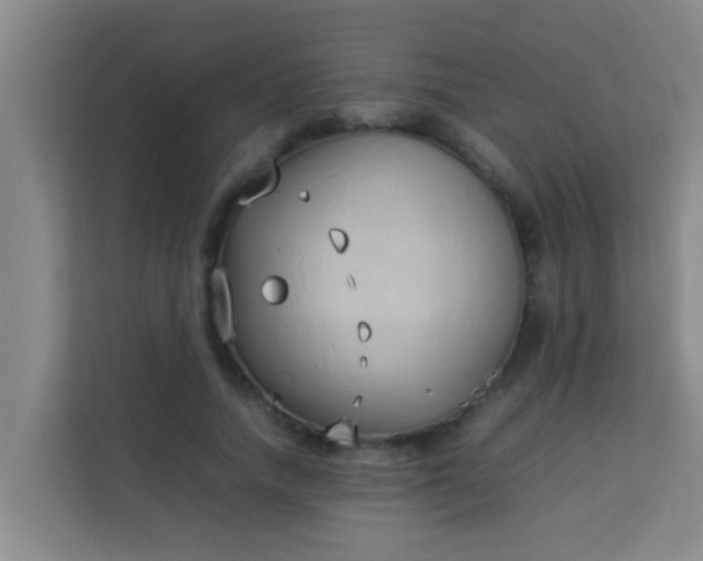 X0000113930738200910091601