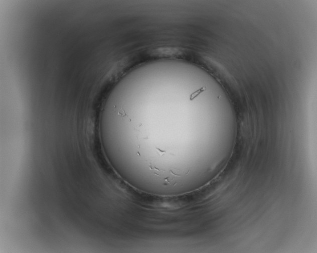 X0000113930739200910091601