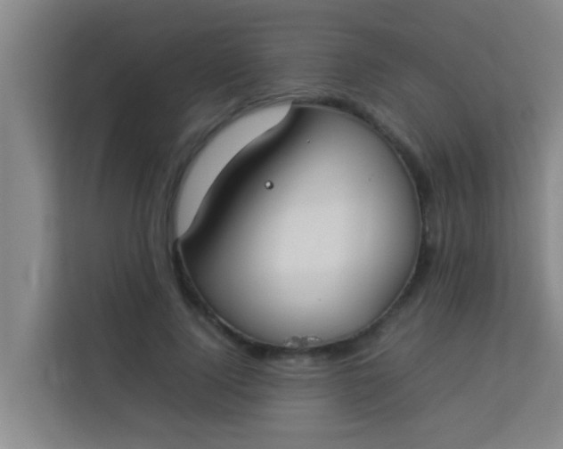 X0000113930740200910091601