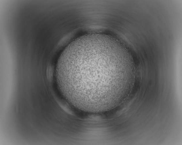 X0000113930742200910091601