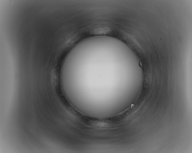 X0000113930743200910091601