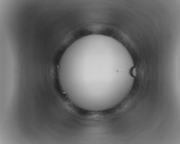 X0000113930750200910091602