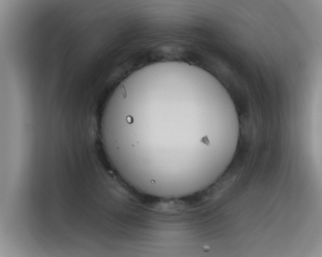 X0000113930752200910091602