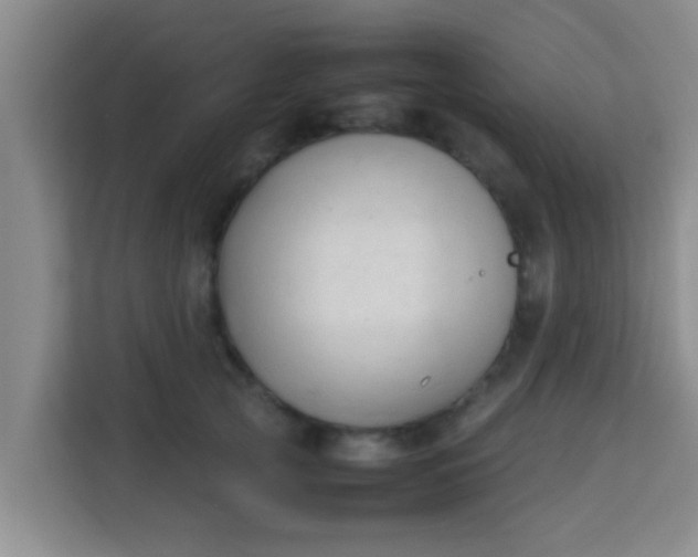 X0000113930753200910091602