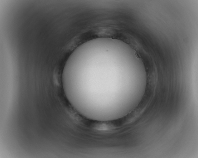 X0000113930755200910091602