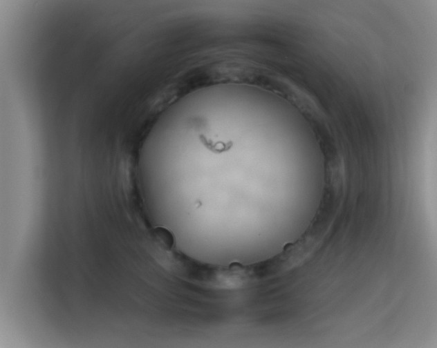 X0000113930757200910091602