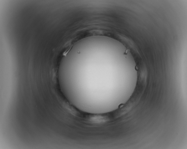 X0000113930759200910091602