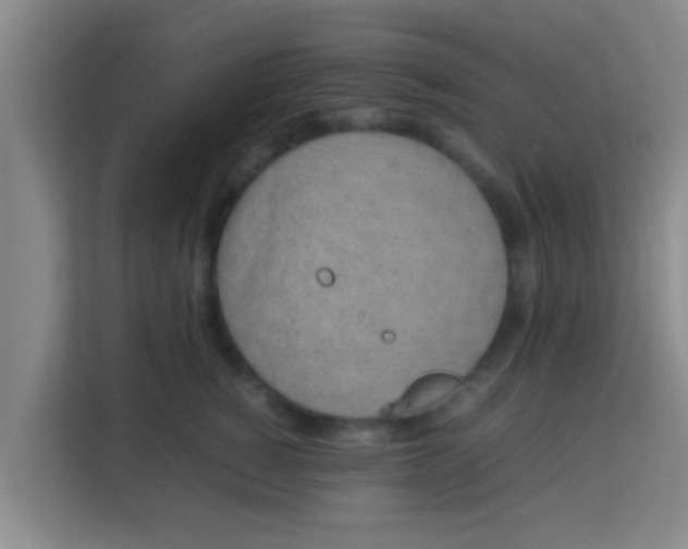 X0000113930760200910091602