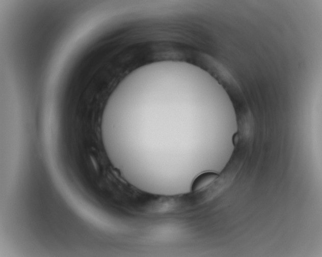 X0000113930764200910091602