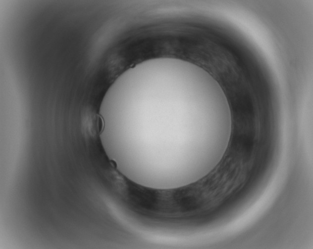 X0000113930766200910091602