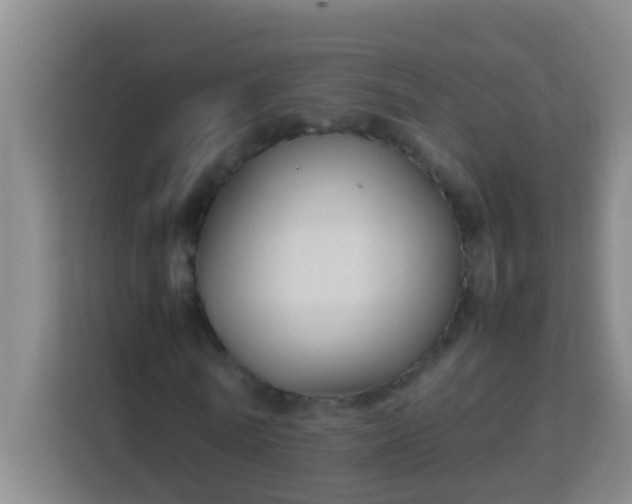 X0000113930770200910091601