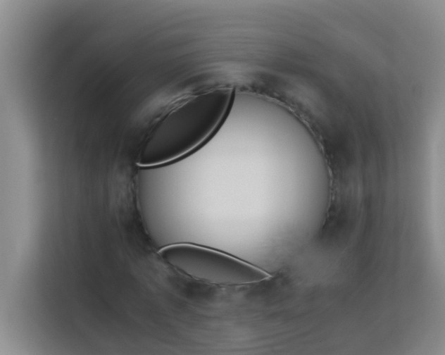 X0000113930773200910091601