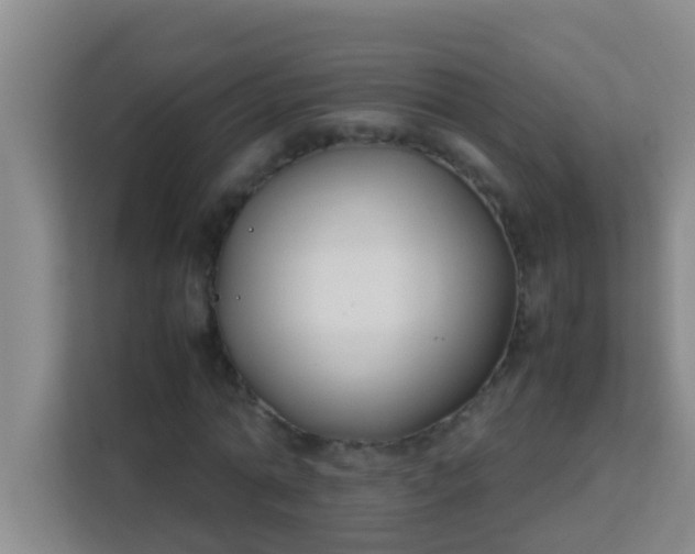 X0000113930774200910091601