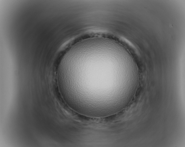 X0000113930775200910091601