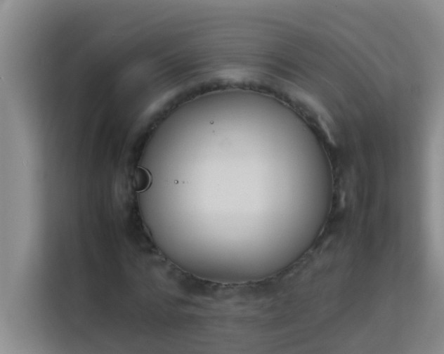 X0000113930776200910091601