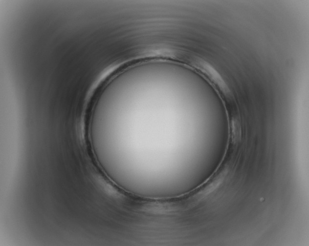 X0000113930780200910091601