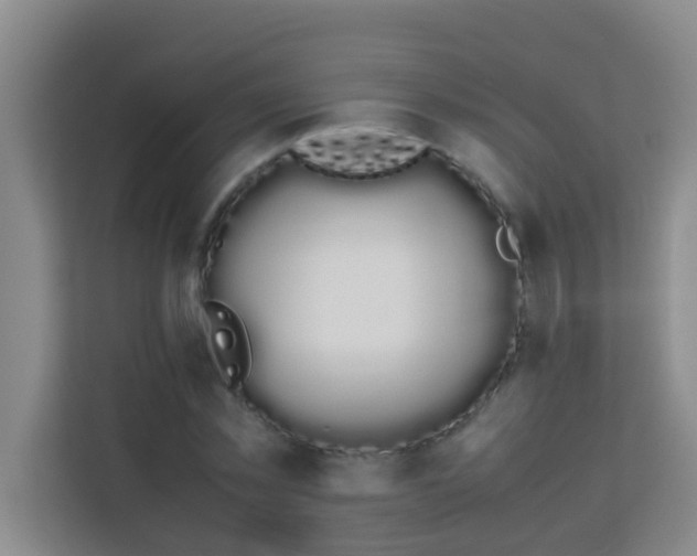 X0000113930781200910091601