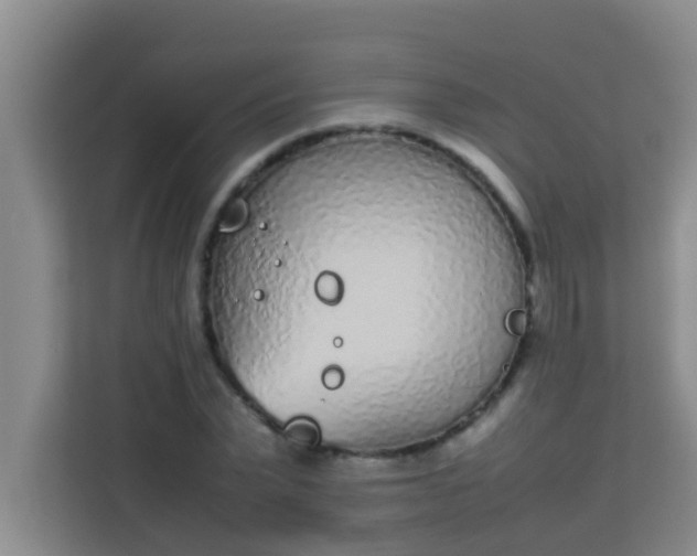 X0000113930783200910091601