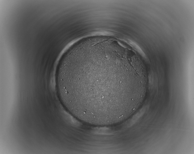 X0000113930784200910091601