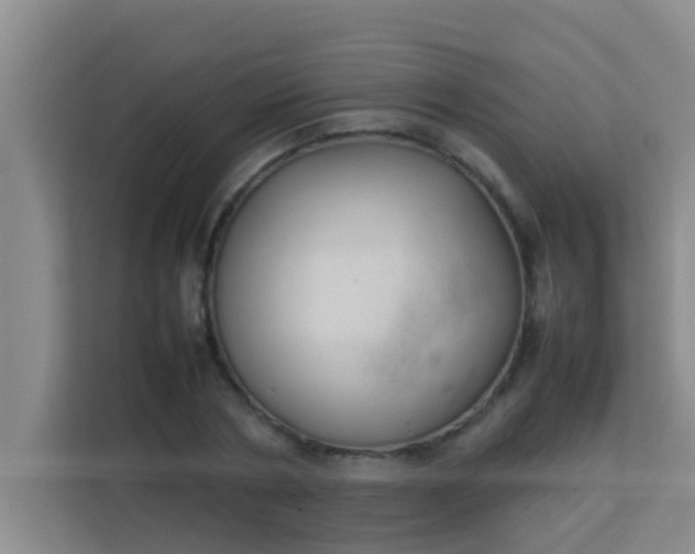 X0000113930786200910091601