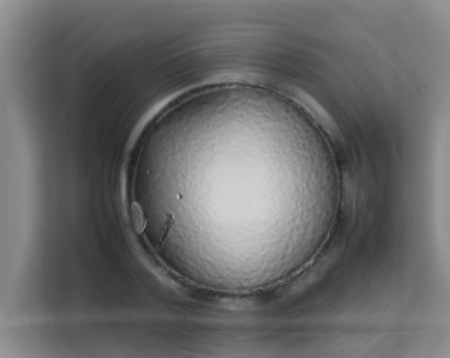 X0000113930788200910091601