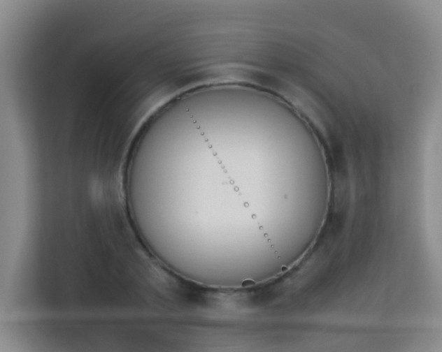 X0000113930789200910091601