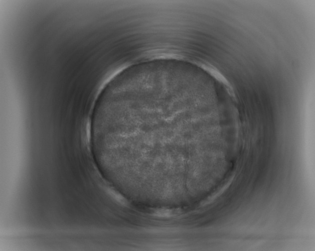 X0000113930790200910091601