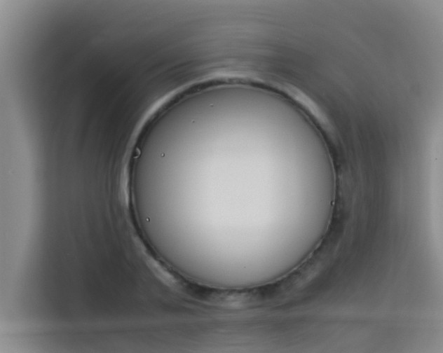 X0000113930791200910091601