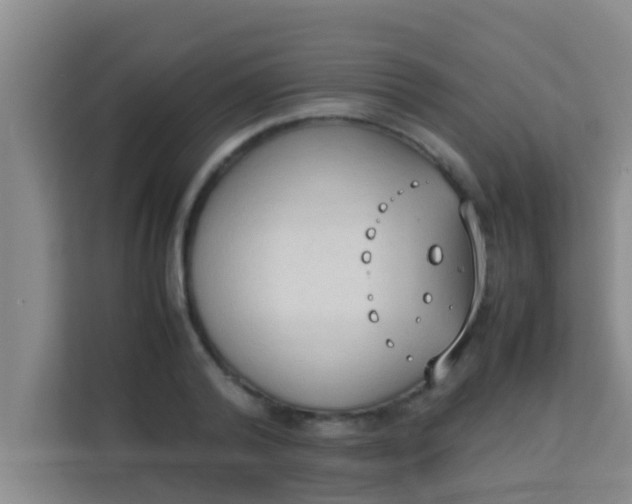 X0000113930792200910091601