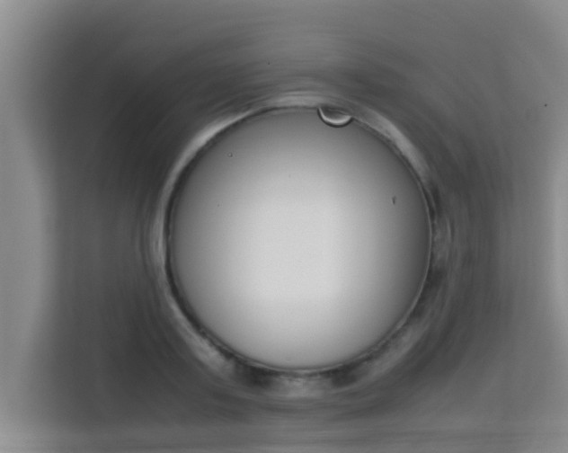 X0000113930795200910091601