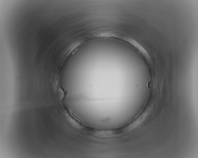 X0000113930801200910091601