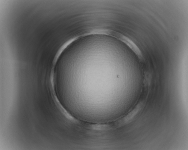 X0000113930804200910091601