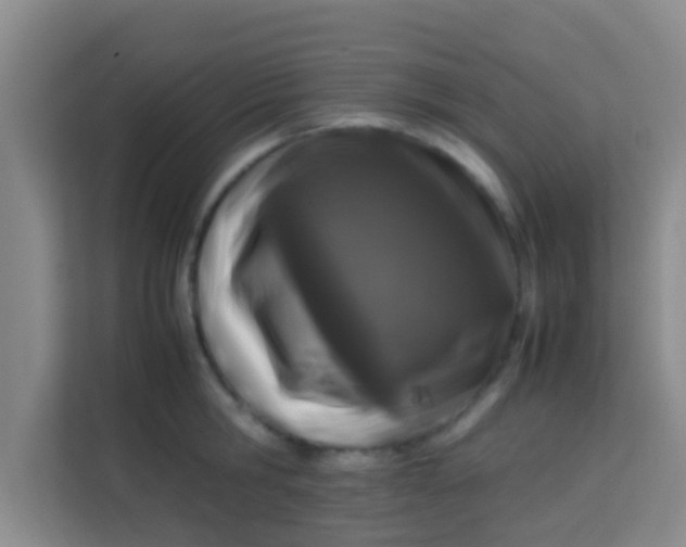 X0000113930806200910091601