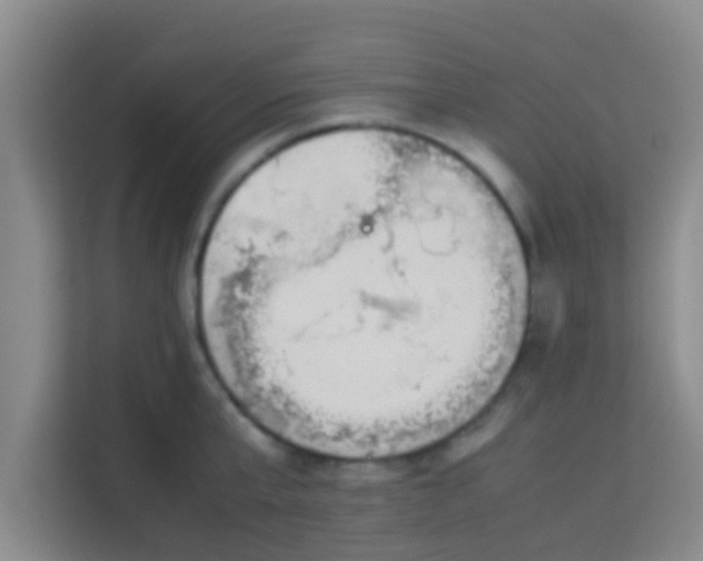 X0000113930807200910091601