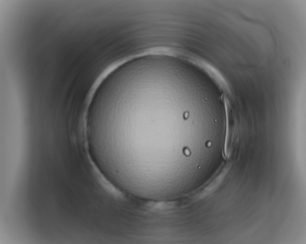 X0000113930808200910091601