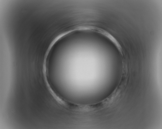 X0000113930811200910091600