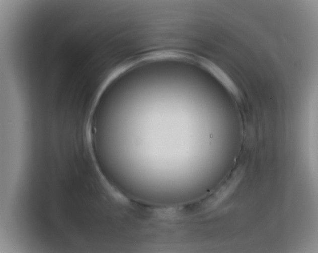 X0000113930813200910091600