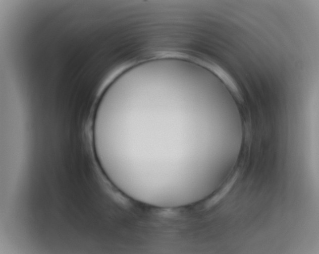 X0000113930814200910091600