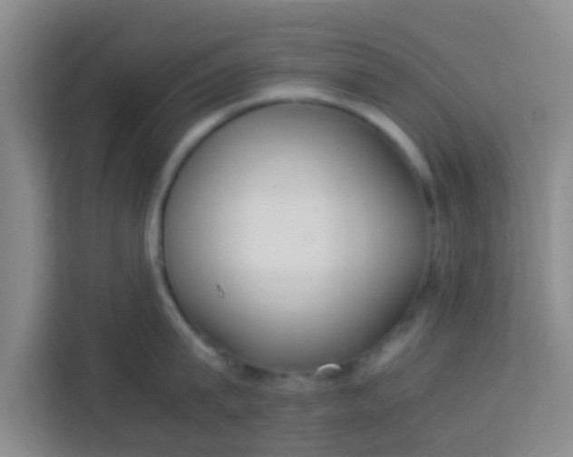 X0000113930815200910091600