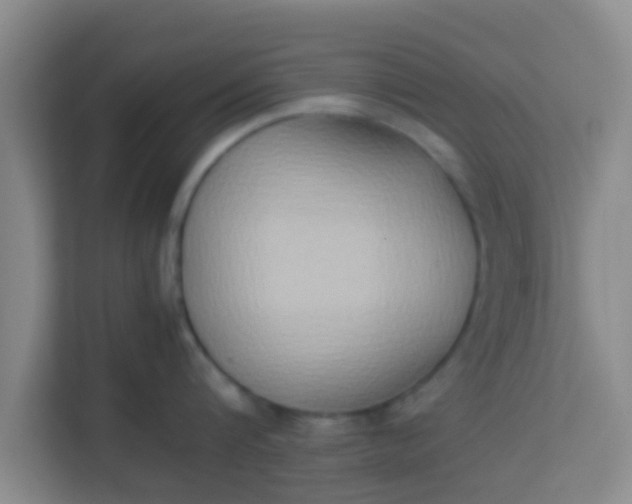 X0000113930816200910091600