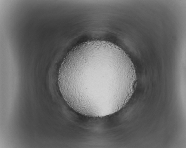 X0000113930817200910091600