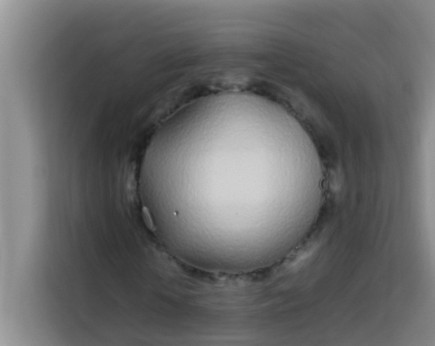 X0000113930818200910091600