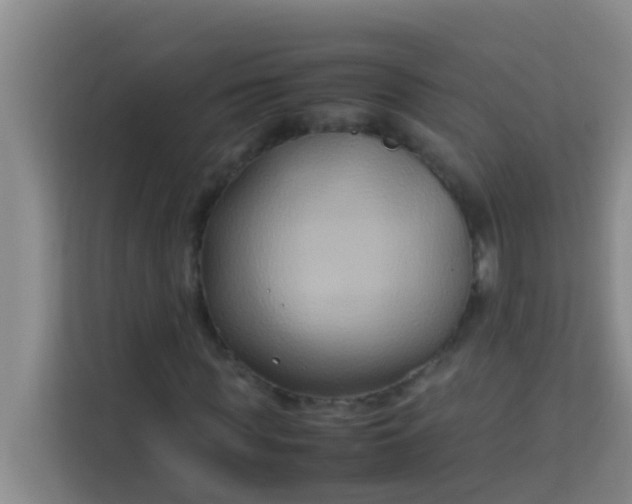 X0000113930819200910091600