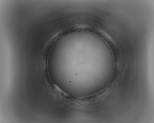 X0000113930821200910091600