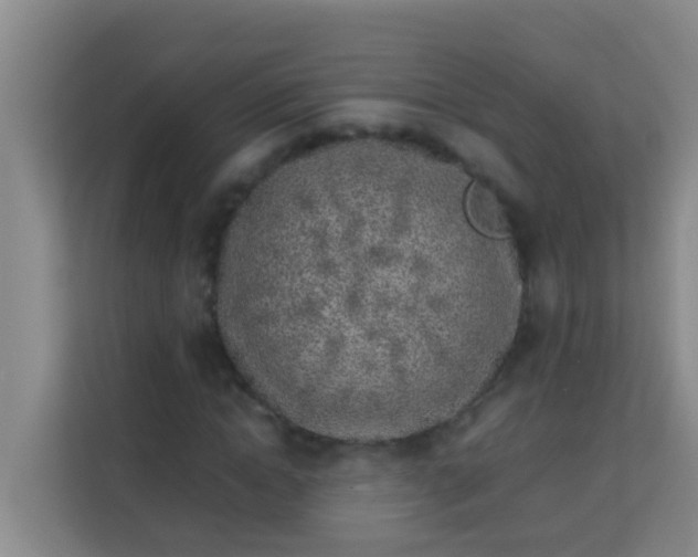 X0000113930822200910091600