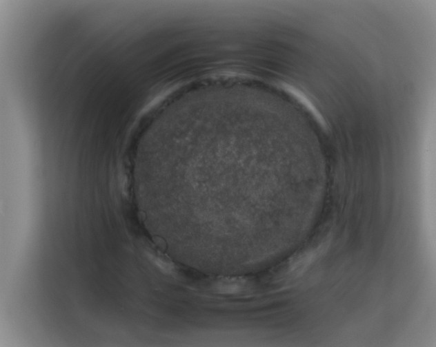 X0000113930823200910091600