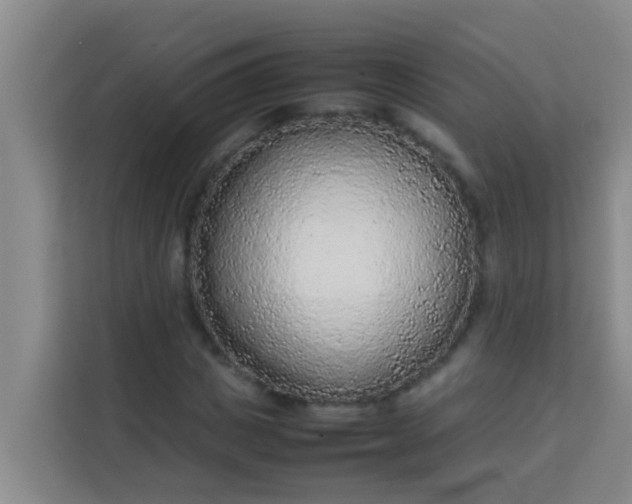 X0000113930825200910091600