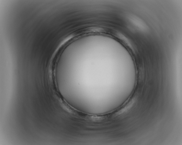 X0000113930827200910091600