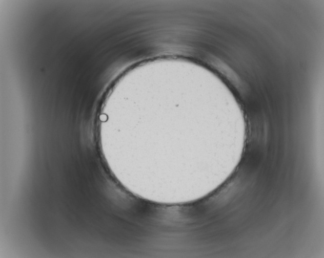 X0000113930828200910091600